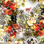 Colour:A