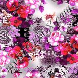 Colour:B