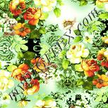 Colour:K