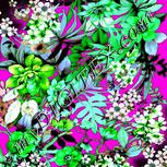 Colour:C