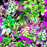 Colour:D