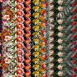 Colour:A