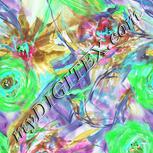 Colour:C