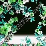 Colour:C