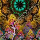 Colour:A