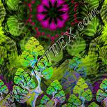 Colour:D