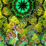 Colour:K