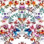 Colour:A