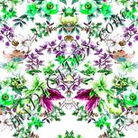 Colour:C