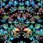 Colour:F