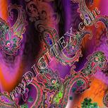 Colour:F