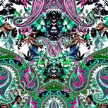 Colour:B