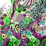 Colour:C