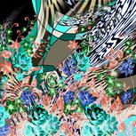 Colour:F