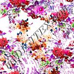 Colour:B