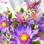 Colour:A