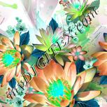 Colour:C
