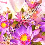 Colour:J