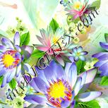 Colour:K
