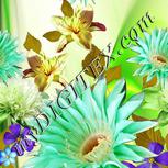 Colour:D