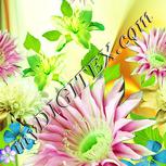 Colour:K