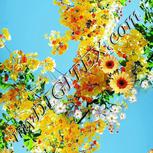 Colour:A