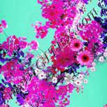 Colour:B