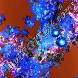 Colour:F