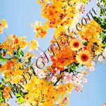 Colour:J