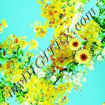 Colour:K
