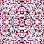 Colour:B