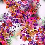 Colour:B