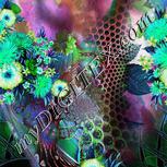 Colour:C