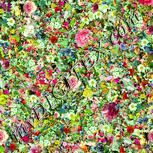 Colour:K