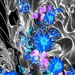 Colour:F