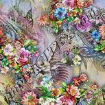 Colour:A