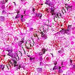 Colour:B