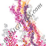 Colour:B