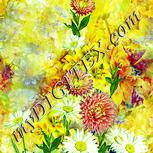 Colour:K