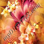 Colour:J