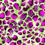Colour:D