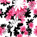 Colour:B