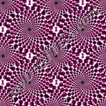 Colour:B