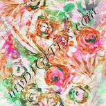 Colour:B