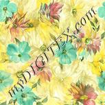 Colour:K