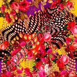 Colour:J