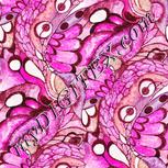 Colour:B
