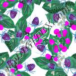 Colour:B