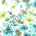 Colour:K