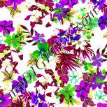 Colour:D